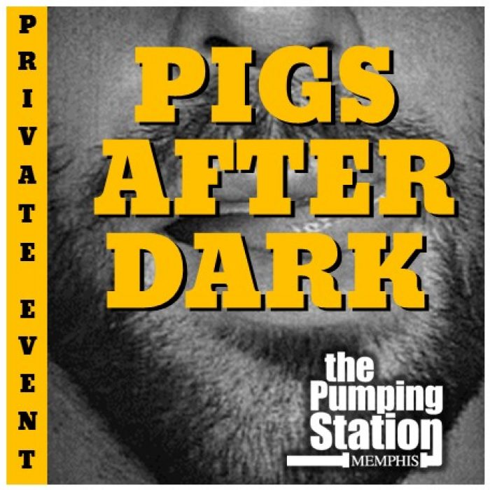 Pig After Dark 4.75 x 4.75